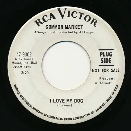 Common Market - I Love My Dog / Wings