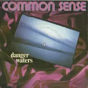 12inch Vinyl Single - Common Sense - Danger Waters