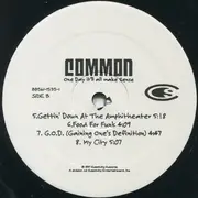 Double LP - Common - One Day It'll All Make Sense - still sealed