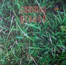 10'' - Common Ground - Grass