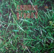 Common Ground - Grass