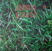 10'' - Common Ground - Grass