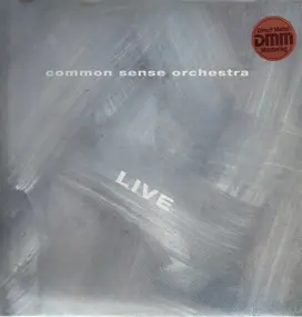 Common Sense Orchestra - Live