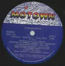 12inch Vinyl Single - Commodores - Animal Instinct (Club Mix) / Lightin' Up The Night
