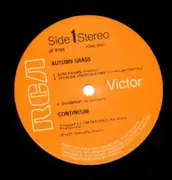 LP - Continuum - Autumn Grass