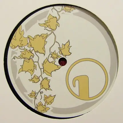 Contour - Backward Motion / Wisdom