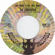 Convention - Hey There, Little Miss Mary