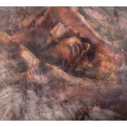 CONVERGE - Unvolved And Weeded Out