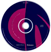 CD - Convicted Felons - The Year Of The Ho Niggas Is Over