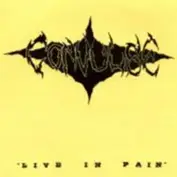 Convulse
