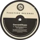 12inch Vinyl Single - Concord Dawn - Tonite (Pendulum Remix) / Appollo 13