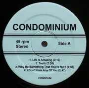 12inch Vinyl Single - Condominium - Warm Home