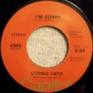 Connie Cato - I'm Sorry