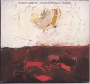 Conor Oberst - Upside Down Mountain