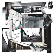 Conquering Animal Sound - On Floating Bodies