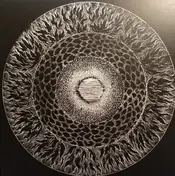 CONRAD VAN ORTON - Hypersomnia