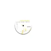 Consistent - Sing Along Record