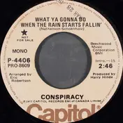 The Conspiracy - What Ya Gonna Do When The Rain Starts Fallin'