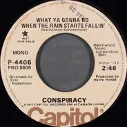 Conspiracy - What Ya Gonna Do When The Rain Starts Fallin'