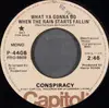 7inch Vinyl Single - Conspiracy - What Ya Gonna Do When The Rain Starts Fallin'
