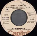 7inch Vinyl Single - Conspiracy - What Ya Gonna Do When The Rain Starts Fallin'