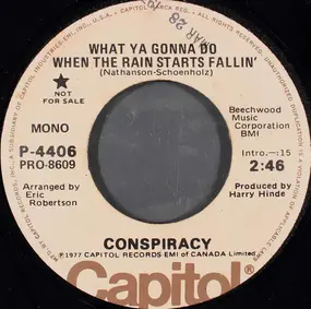 The Conspiracy - What Ya Gonna Do When The Rain Starts Fallin'