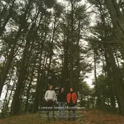 Constant Smiles - Moonflowers