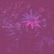 Constants - Pasiflora