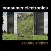 Consumer Electronics