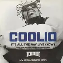 12inch Vinyl Single - Coolio - It's All The Way Live (Now)