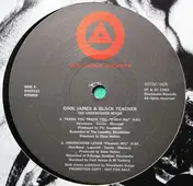 Cool James & Black Teacher - The Undercover Mixes