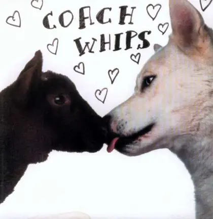 Coachwhips - Bangers Vs Fuckers