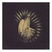COBALT - EATER OF BIRDS