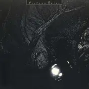 LP & MP3 - Cocteau Twins - The Pink Opaque - + DOWNLOADCODE
