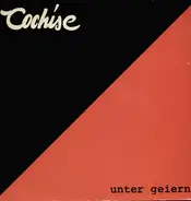 Cochise - Unter Geiern