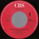 7inch Vinyl Single - Cock Robin - The Biggest Fool Of All