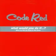 12inch Vinyl Single - Code Red - What Would You Do If...?