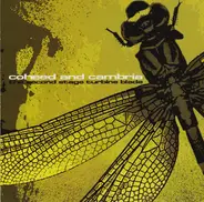 Coheed And Cambria - The Second Stage Turbine Blade