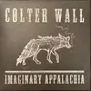 12inch Vinyl Single - Colter Wall - Imaginary Appalachia