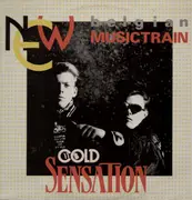 12inch Vinyl Single - Cold Sensation - Belgian Musictrain