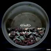 Cold World - Cold World / Hummingbird Of Death