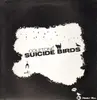 12inch Vinyl Single - Coletone - Suicide Birds