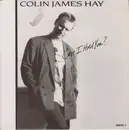 7inch Vinyl Single - Colin Hay - Can I Hold You?