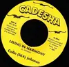 7inch Vinyl Single - Colin Johnson - Living In Harmony