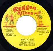 Colin Roach & Anthony Malvo - What A Heat