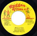 7inch Vinyl Single - Colin Roach & Anthony Malvo - What A Heat