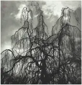 Colin Stetson - Never Were the Way She Was