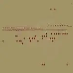 Collective, The - Optimistik