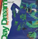 12inch Vinyl Single - Collector - Day Dream