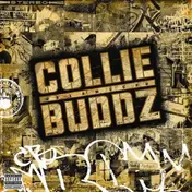 collie buddz - Collie Buddz